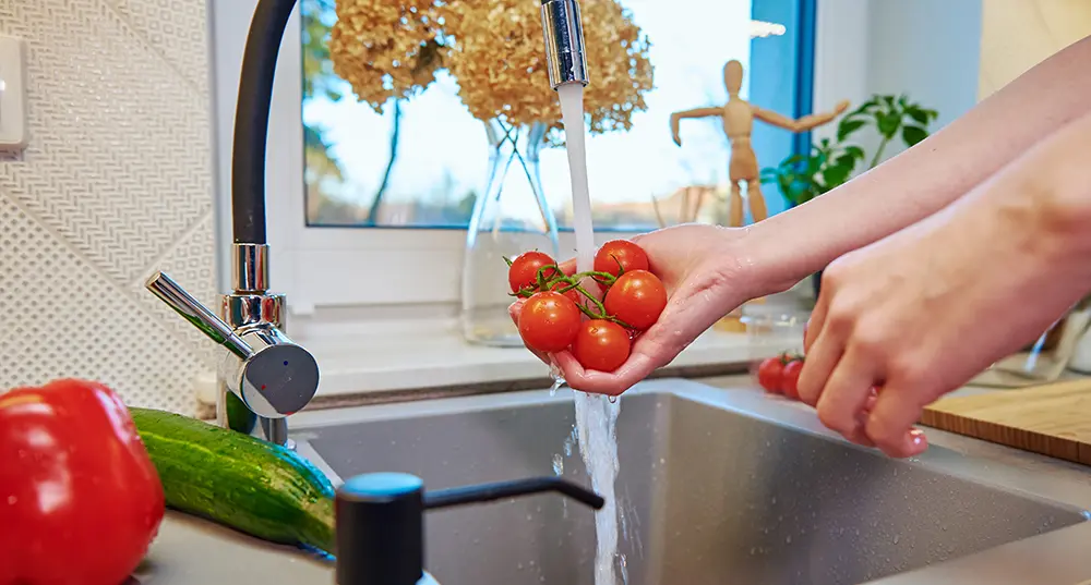 healthy-residential-well-water-food-safe-weber-pump